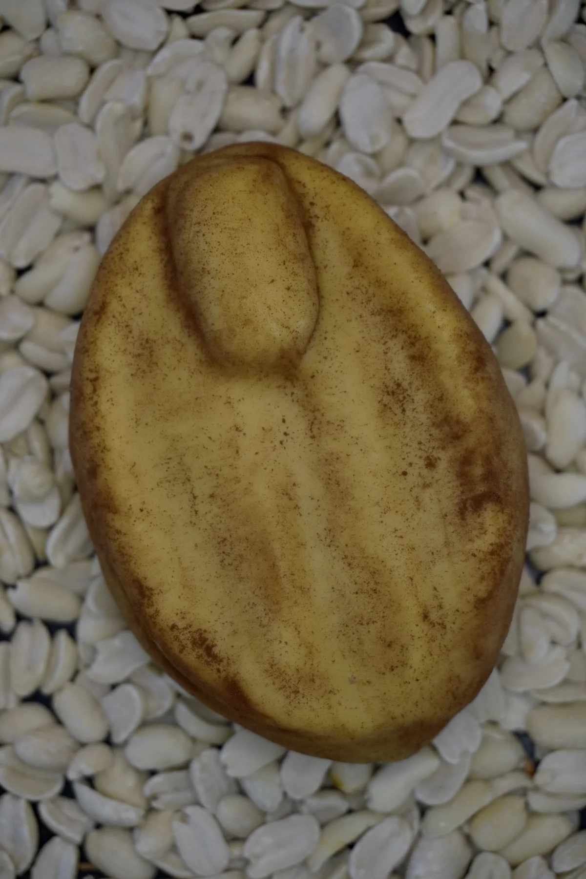 D Baking dessert 9